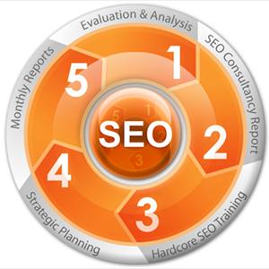  SEO Helps In Promoting