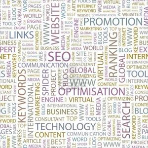 Automated Niche Blog - How To Choose The Right SEO Packages